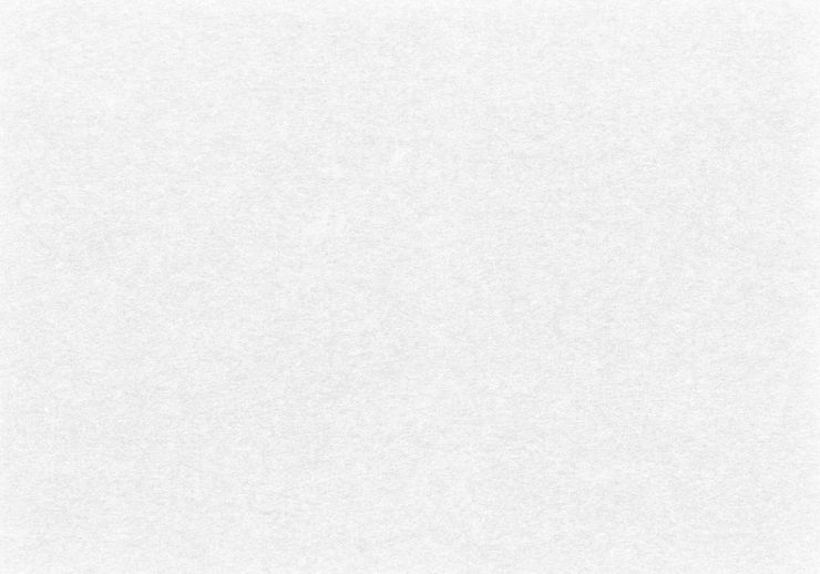 Plain white textured background with a faint gray gradient.