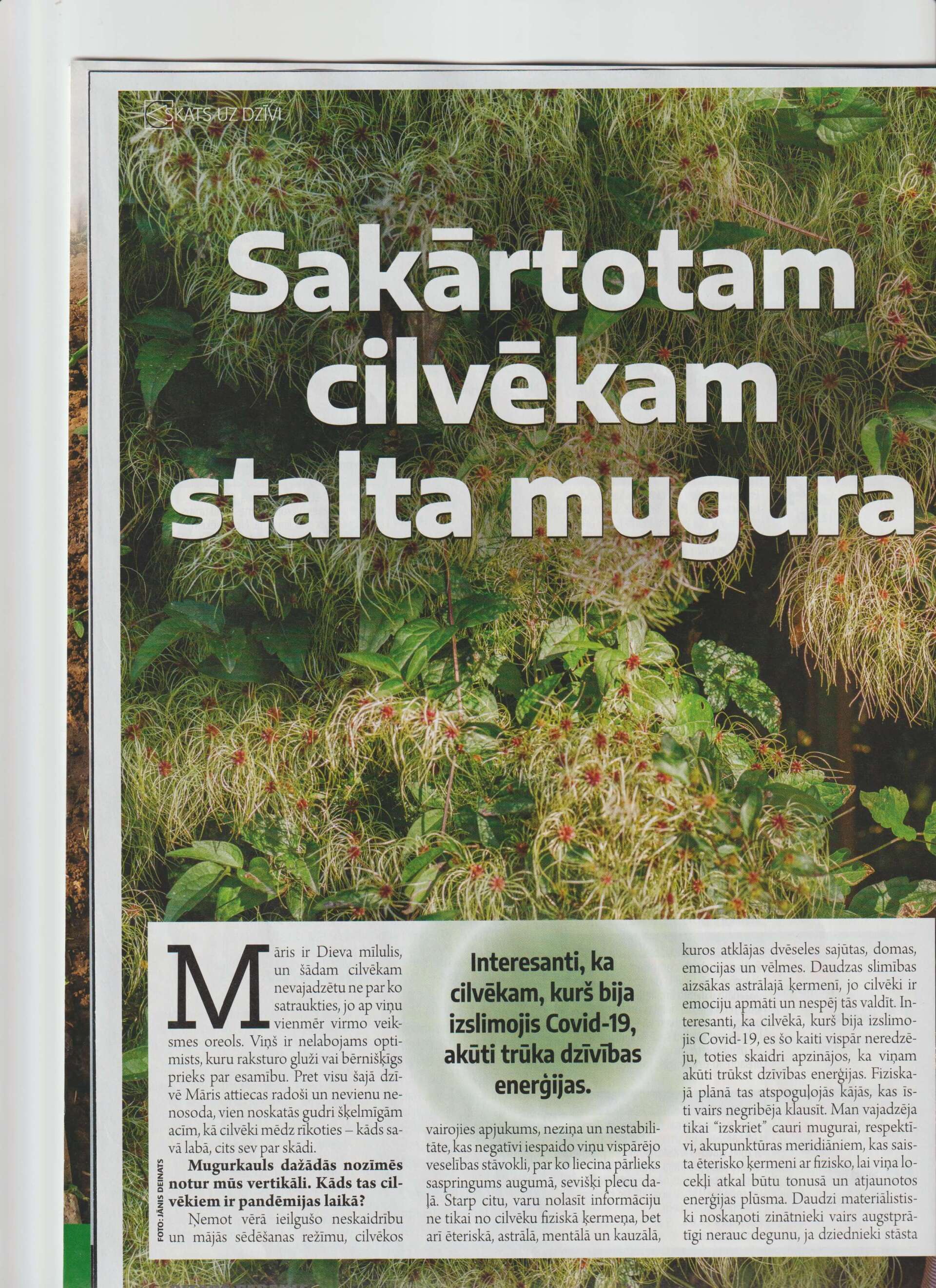 Citāda pasaule žurnāls, Māris Gargurnis