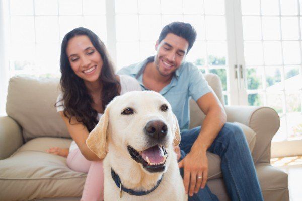 Attractive couple stroking their cute dog