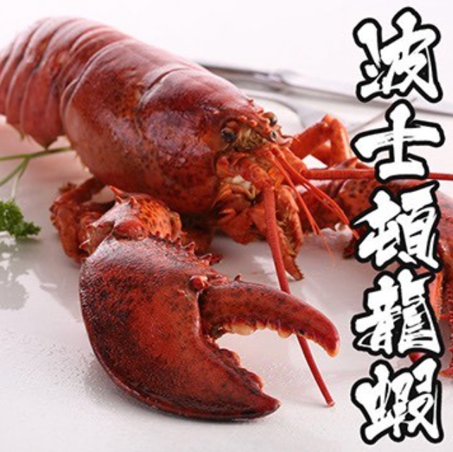加拿大波士頓龍蝦(生凍)