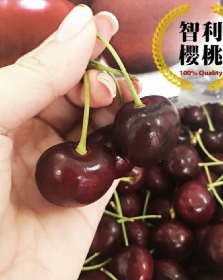 智利櫻桃