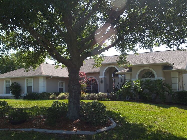 A house with a large tree in front of it