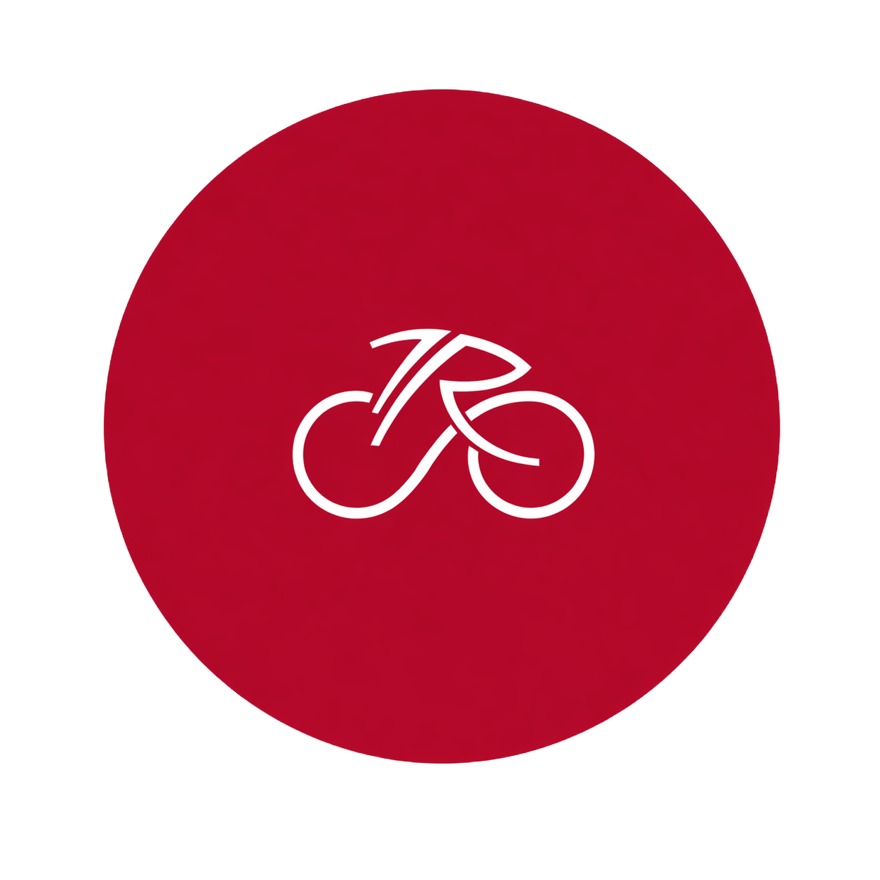 Logo de Ascend Indoor Cycling Studio; cliente de PIMEX; Proyectos de Importación y Exportación, de Pallets a Contenedores...