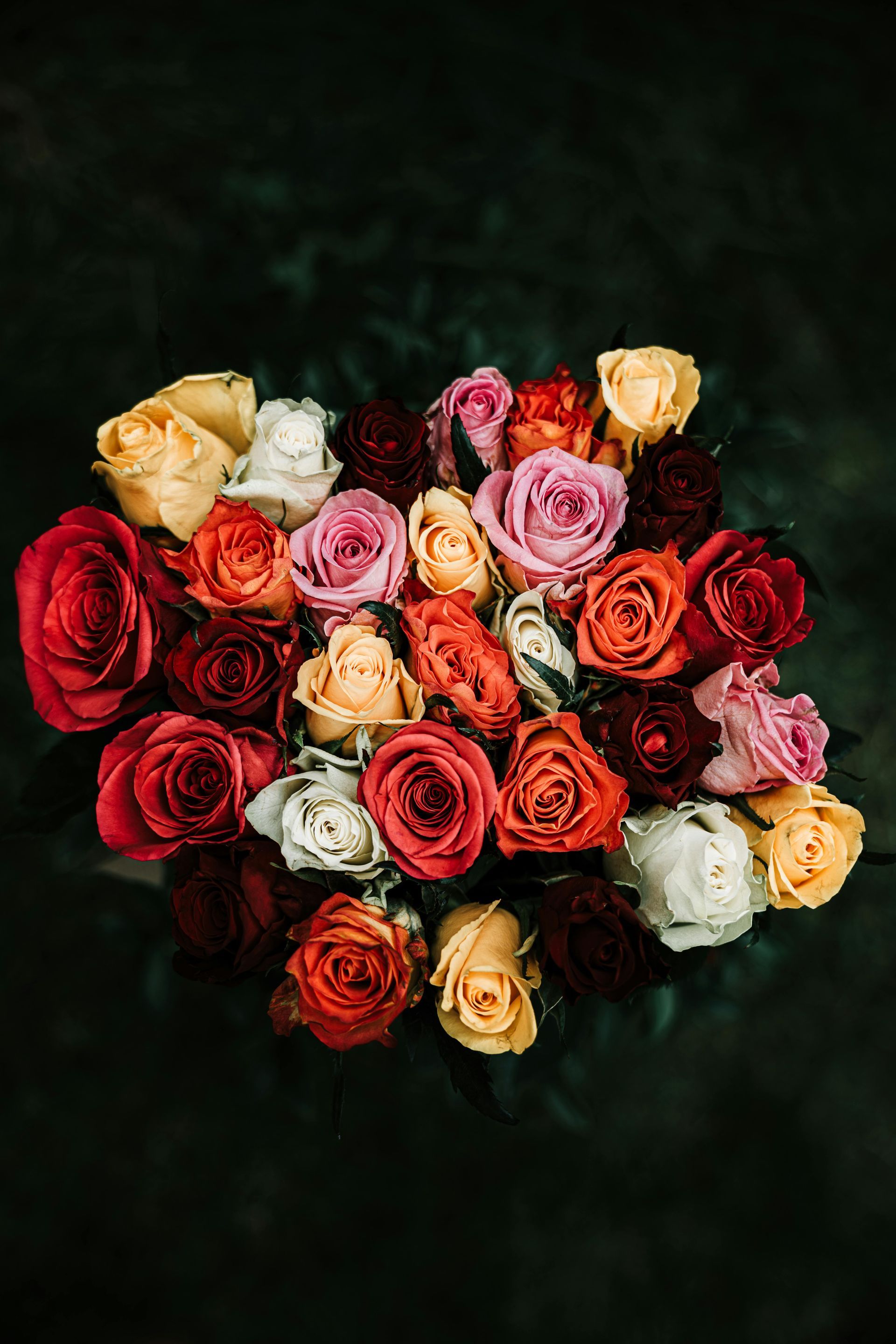 A dense, top-down bouquet of roses in varied shades of red, pink, orange, yellow, and white against a dark background.