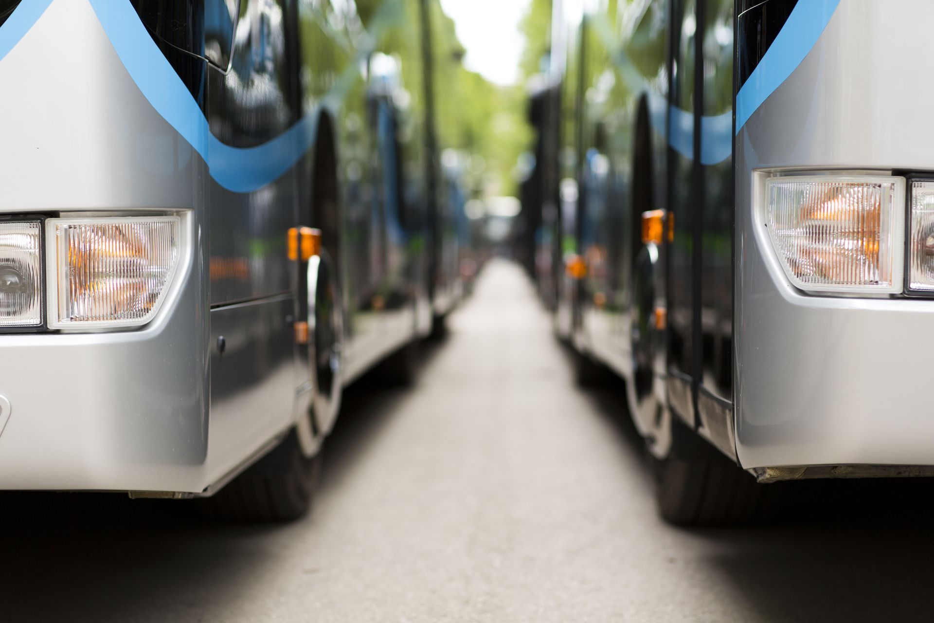 Close-up of parked buses in a row