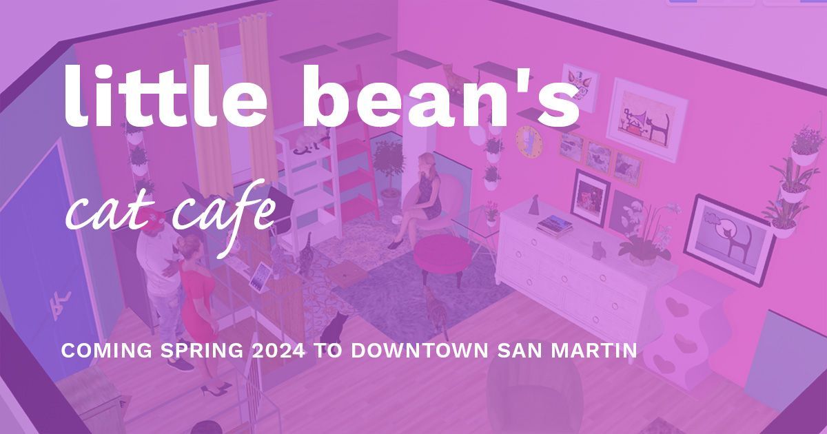 Help little bean's launch south county's first cat cafe!