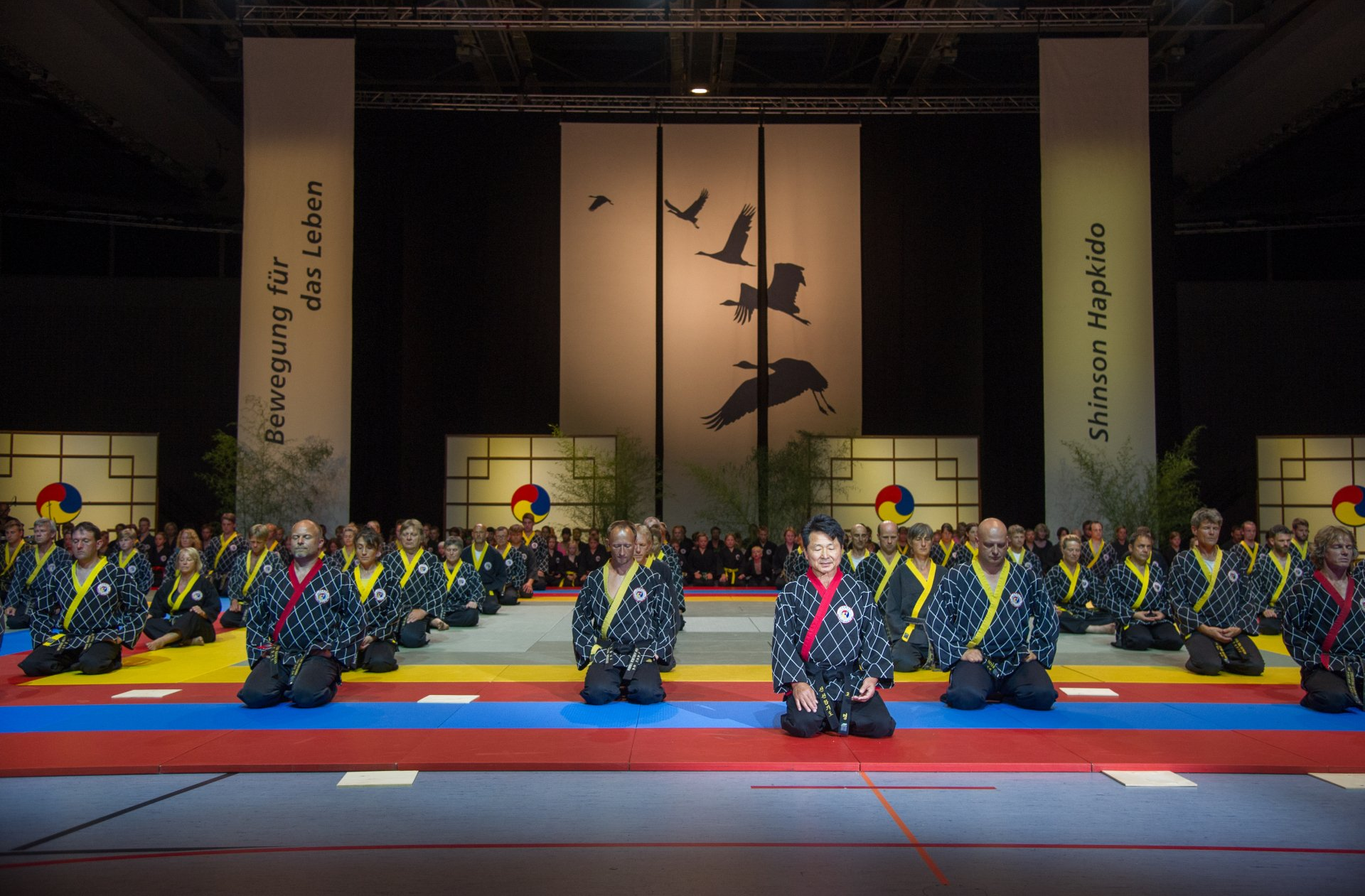 Kampfkunstshow in Darmstadt mit Selbstverteidigung und Meditation, Kampfsport
