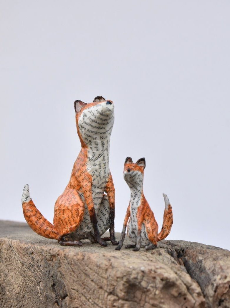 Twee vossen zitten op een rots.