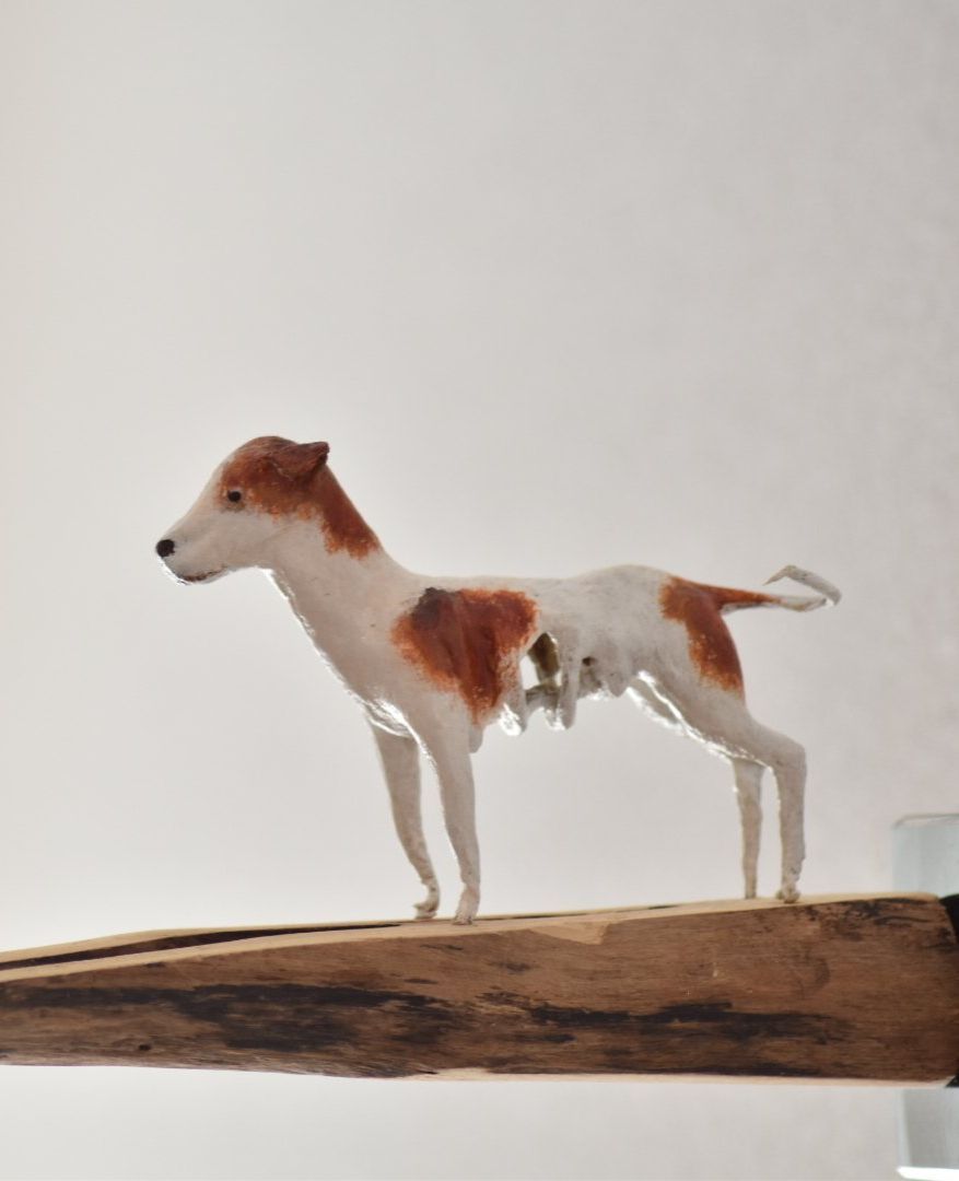 Een bruin-witte hond staat op een stuk hout