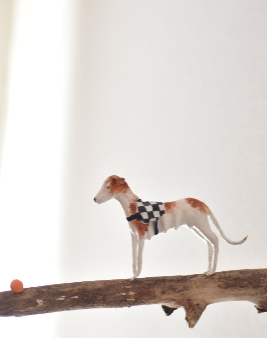 Een bruin-witte hond staat op een tak