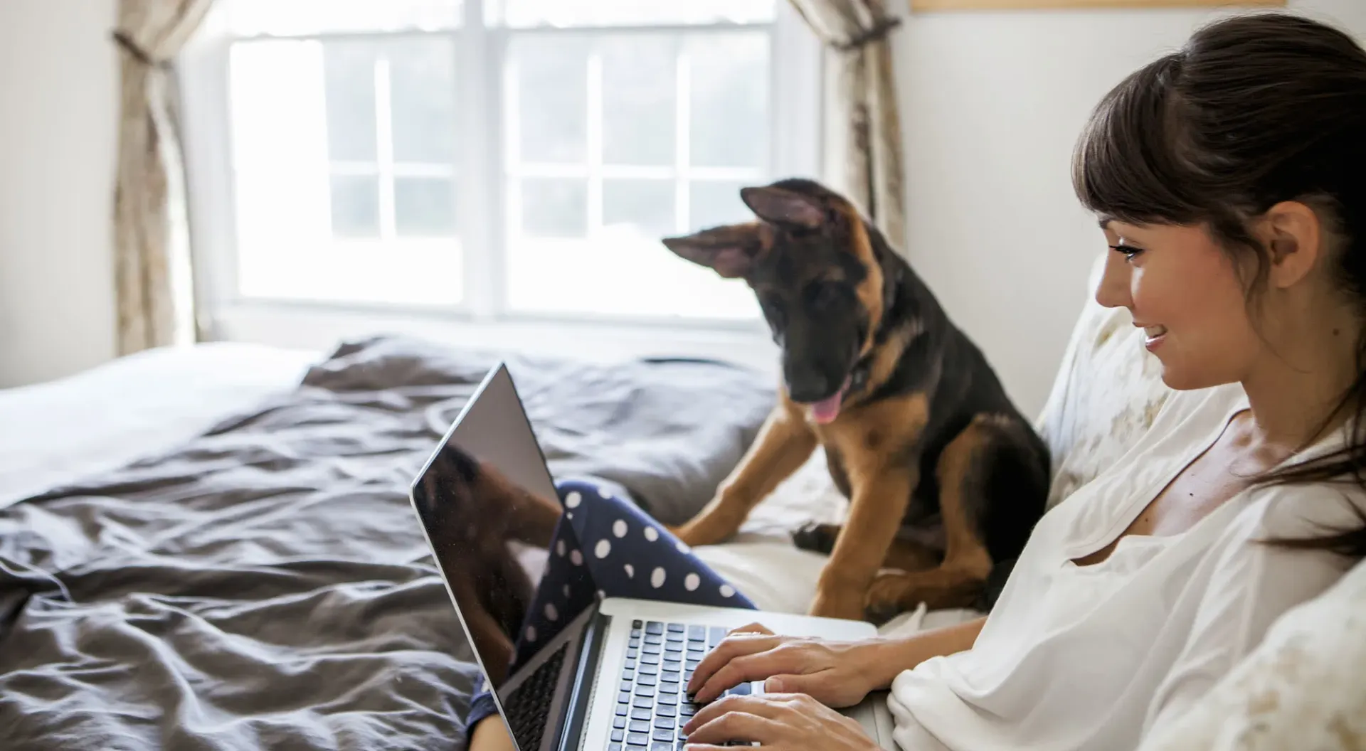 Dog Friendly Apartment | 23Hundred at Ridgeview