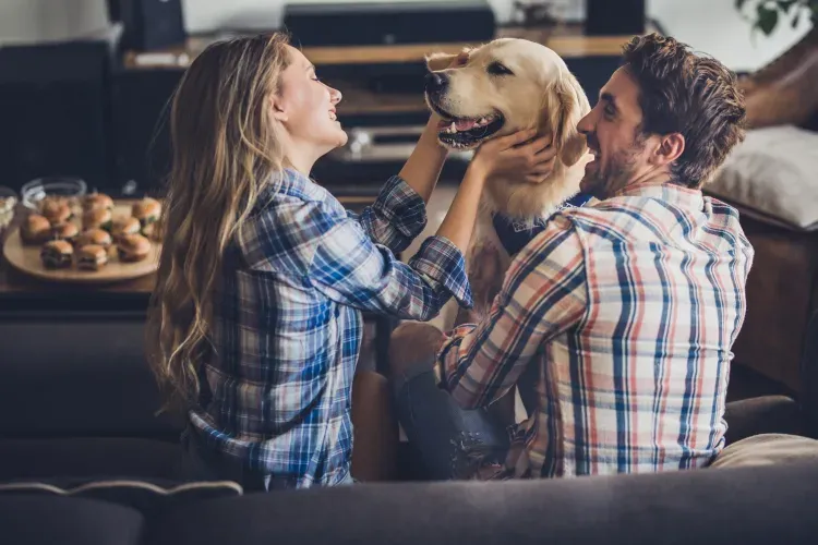 A man and a woman are sitting on a couch petting a dog.