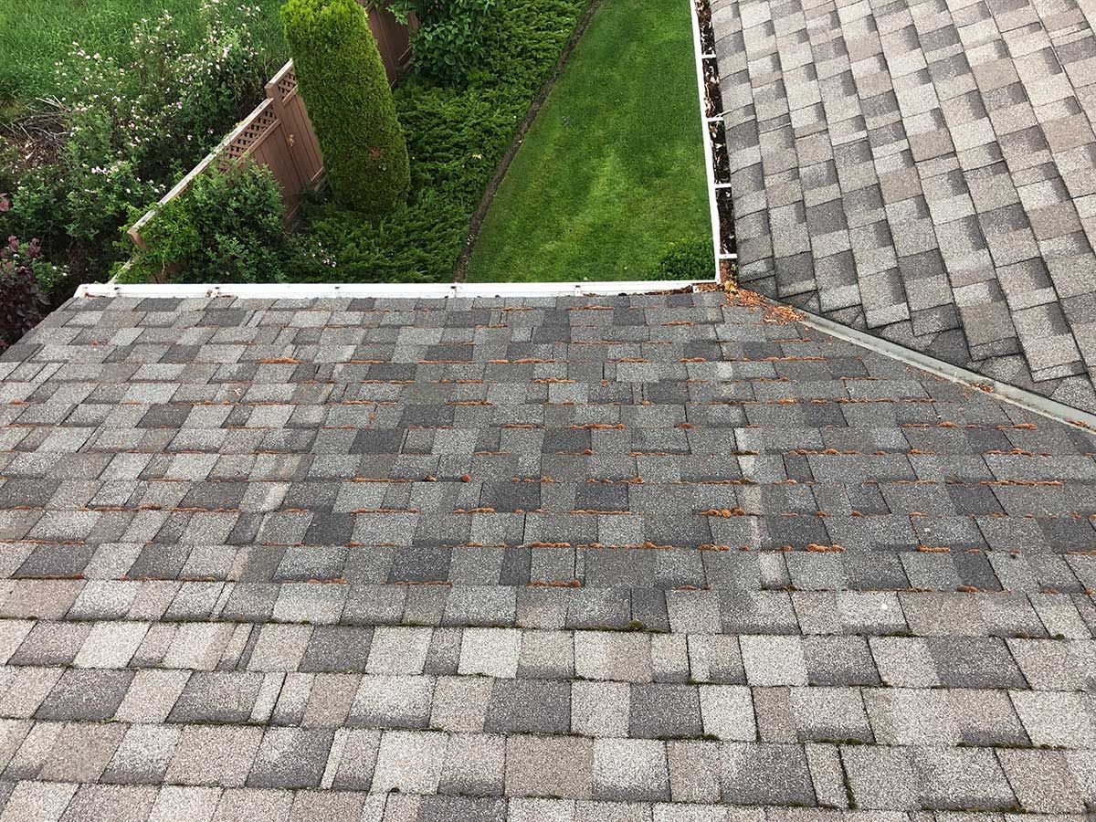 Shingle Roof of House — Green Bay, WI — Roof Renew USA