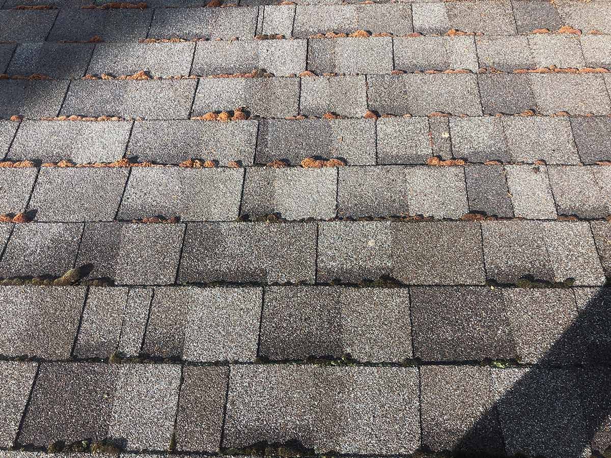 Close-Up Photo of Shingle Roof — Green Bay, WI — Roof Renew USA