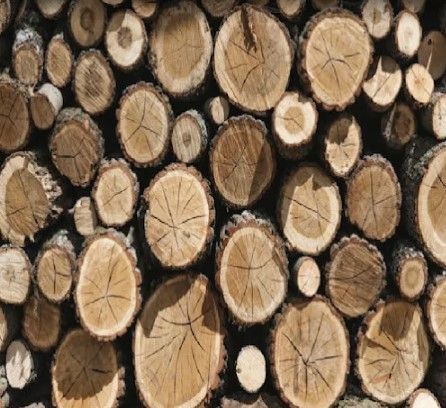 Pila de rodajas de madera cuidadosamente apiladas, mostrando anillos concéntricos y bordes de corteza.