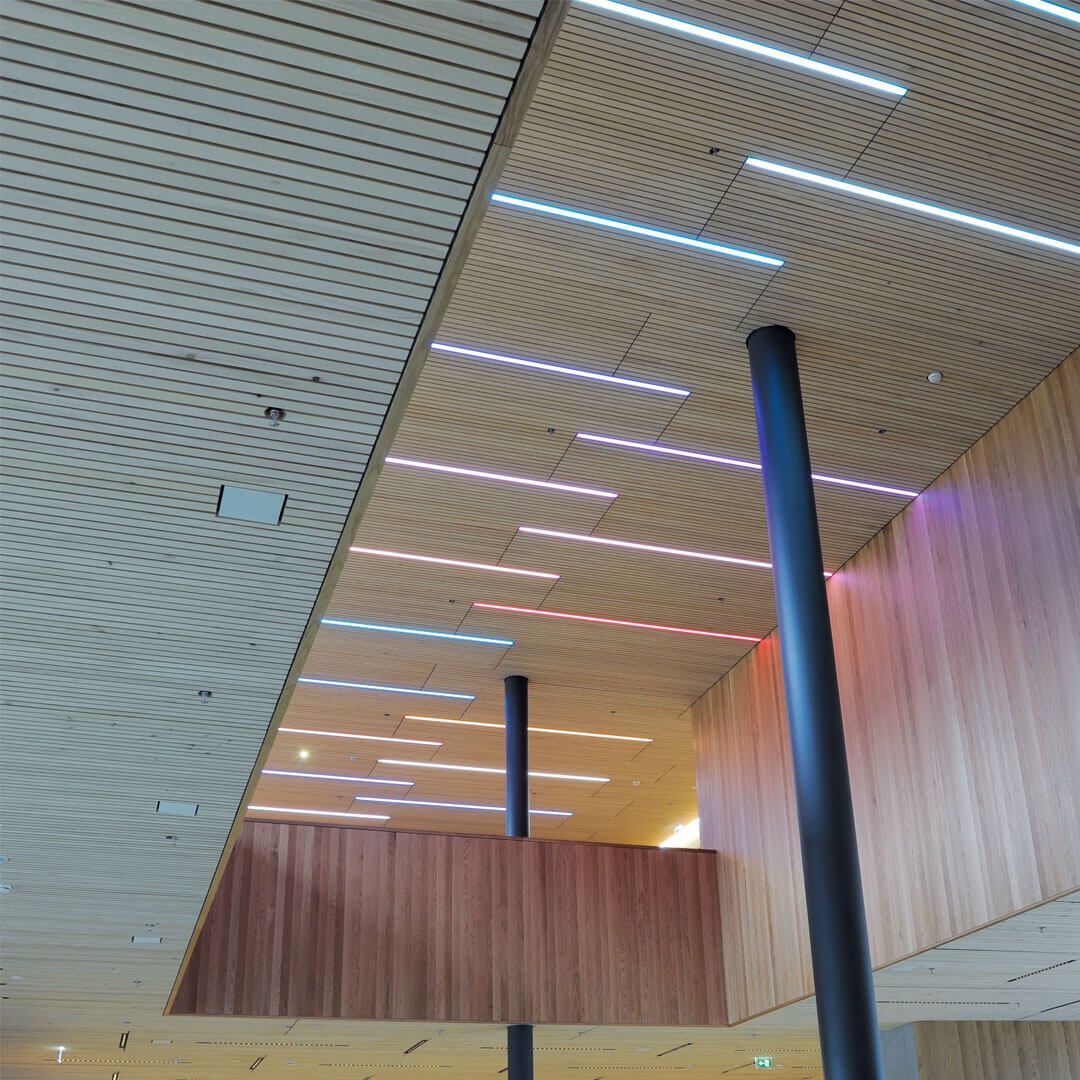 WoodenComfort Holz-Klimadecke Illwerke Rodund