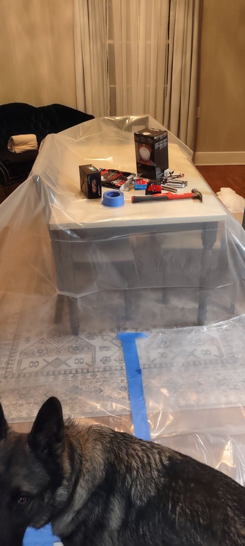 A dog looks toward a table covered in plastic, with tools and boxes on top.