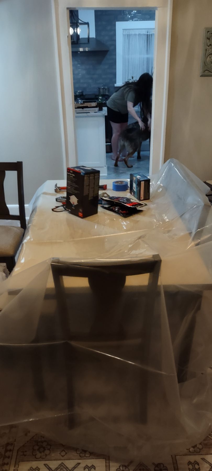 A person in a doorway with a dog and table covered in plastic.