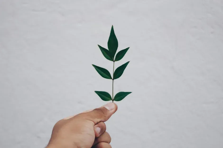 eco-friendly wall finishes - Eco-friendly wall finishes
