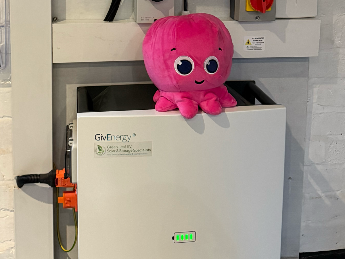 Sustainable energy solutions for homes and businesses including solar panels and EV chargers