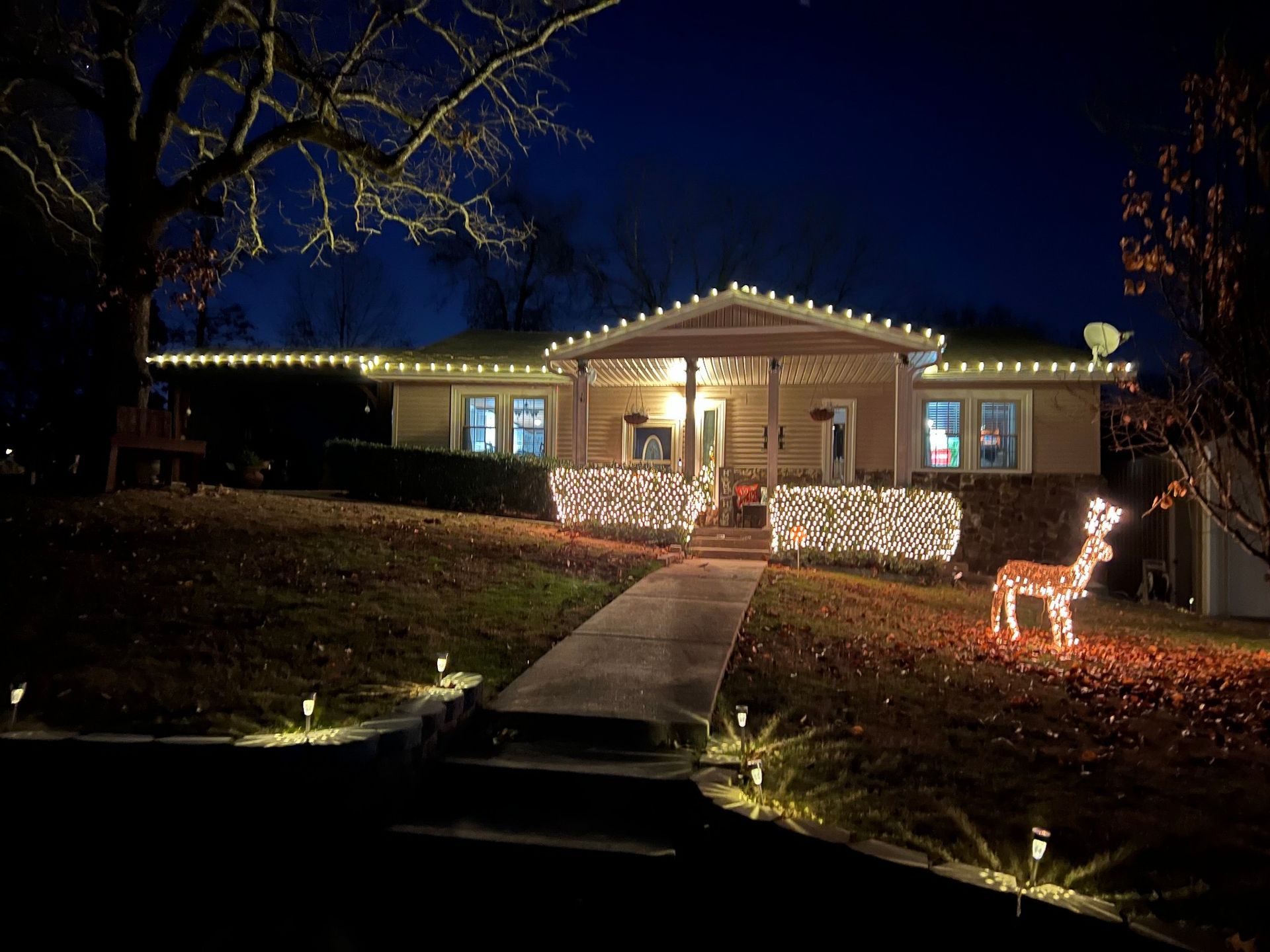 holiday lights in C9 LED white