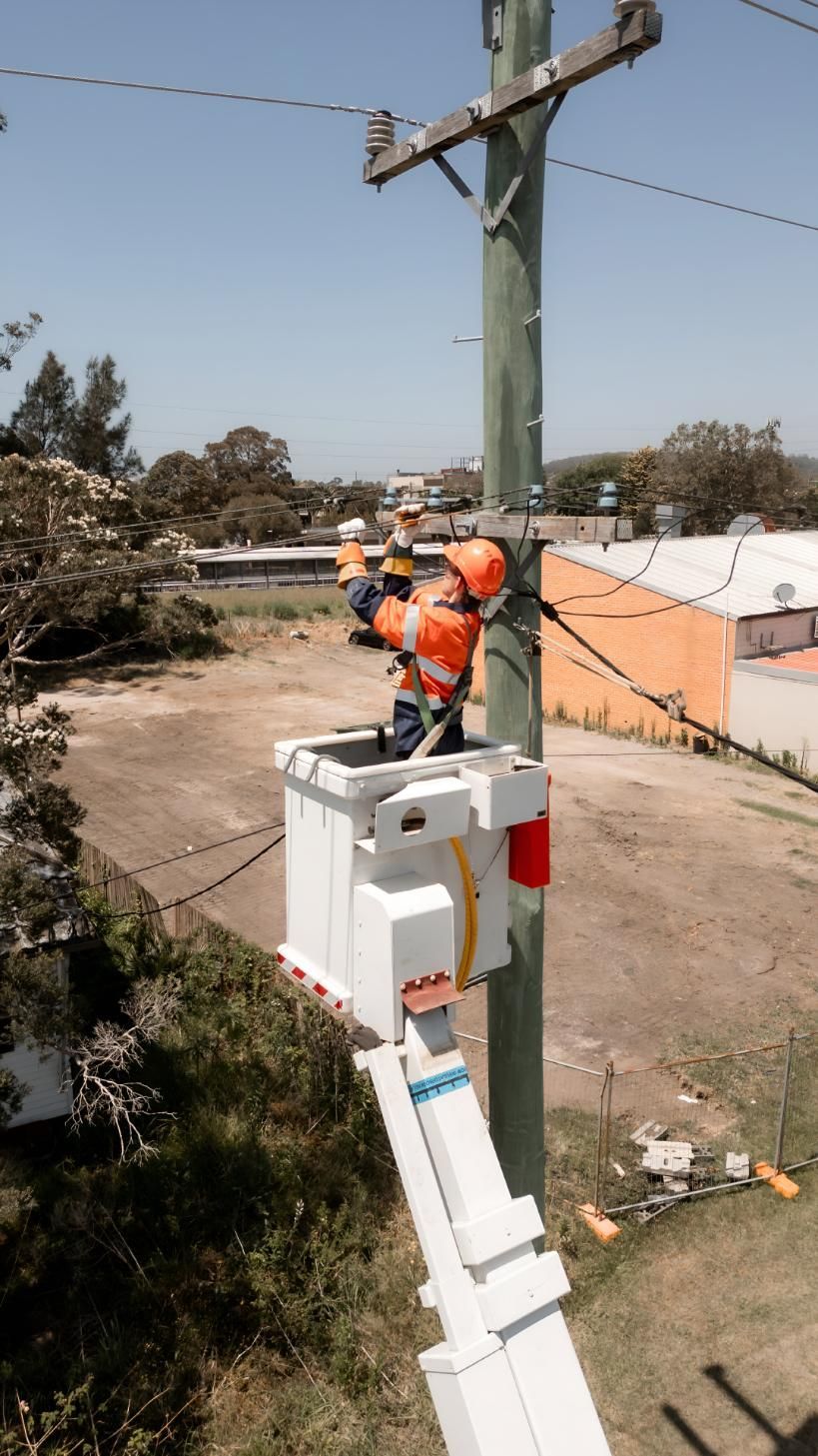Power Lines Maintenance