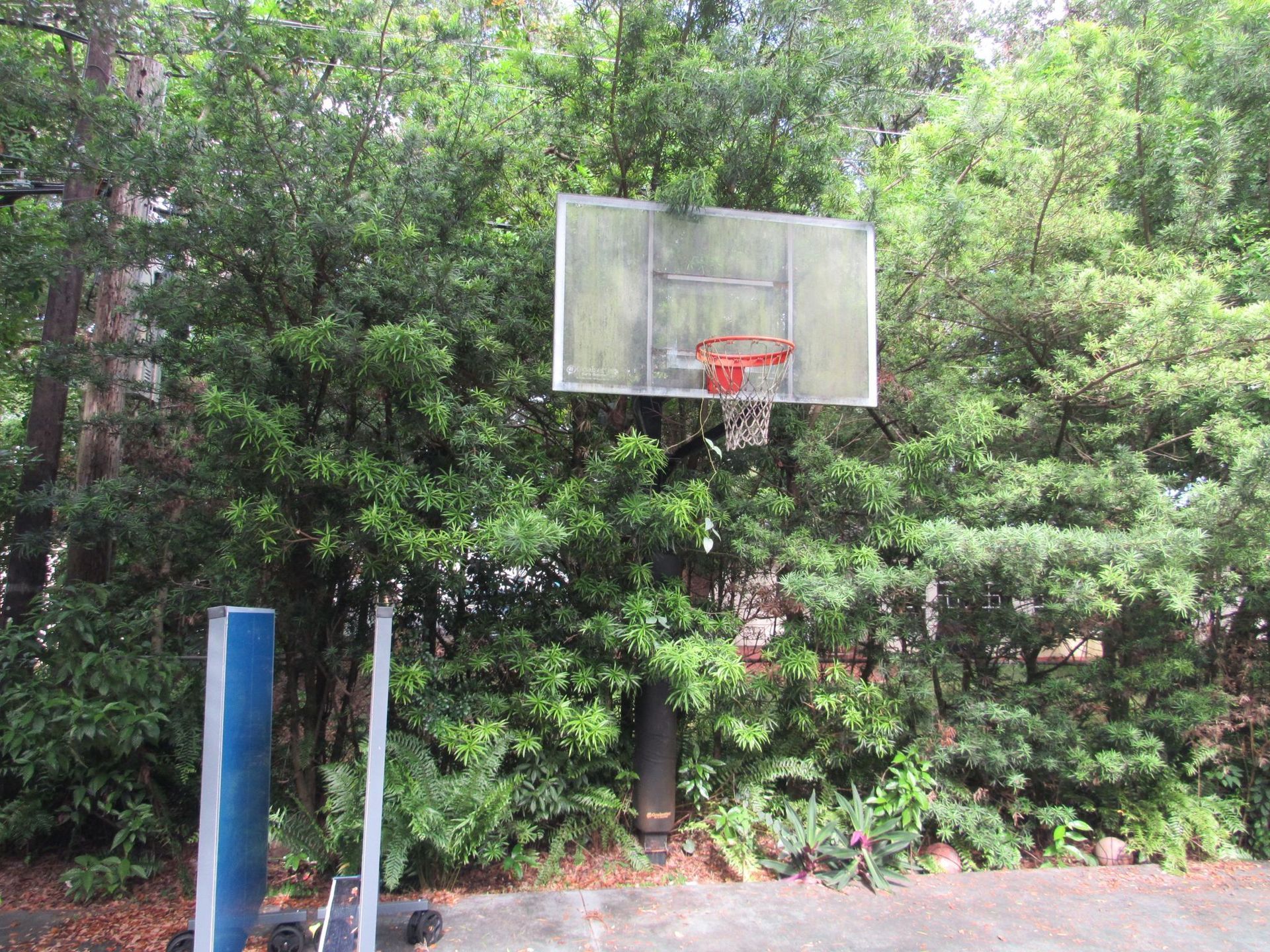 Yacholet-Ikann Jewish Recovery Center for Women