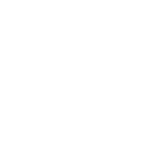 Dr. Pedro Menechini logo