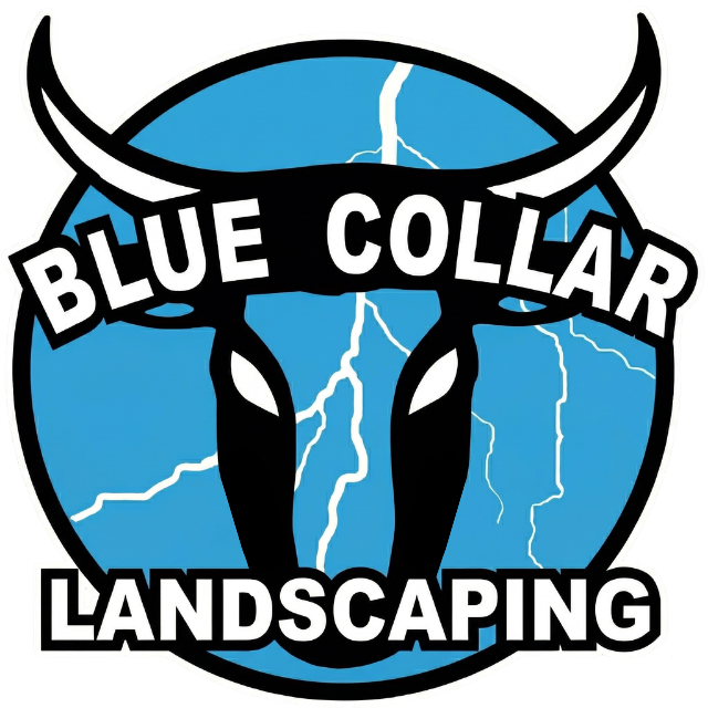 Blue Collar Exterior Improvements