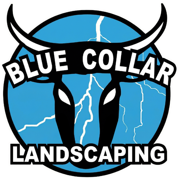 Blue Collar Exterior Improvements logo: bull silhouette with white horns and text on a blue background.