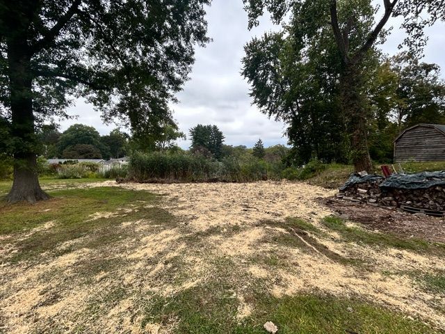 Clearing with sawdust on ground, trees on sides, reeds in back under cloudy sky.
