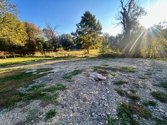 Gravelly clearing in a wooded area; sun shines through trees, with a bit of green grass visible.