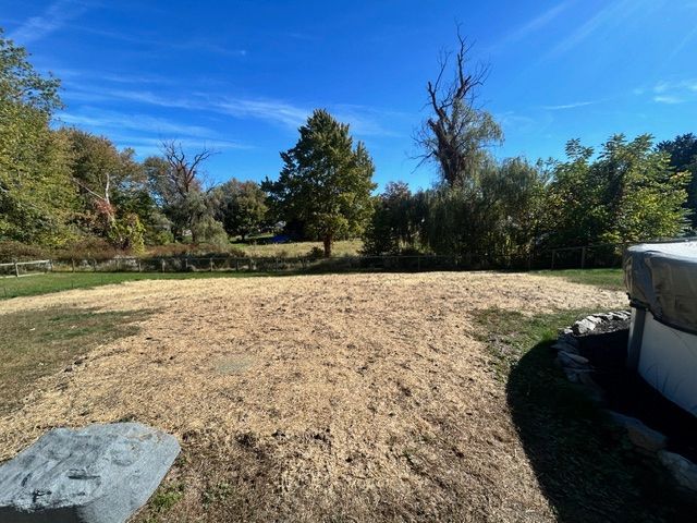 Grassy area with mulch, a small tree, and a blue sky in an outdoor setting.
