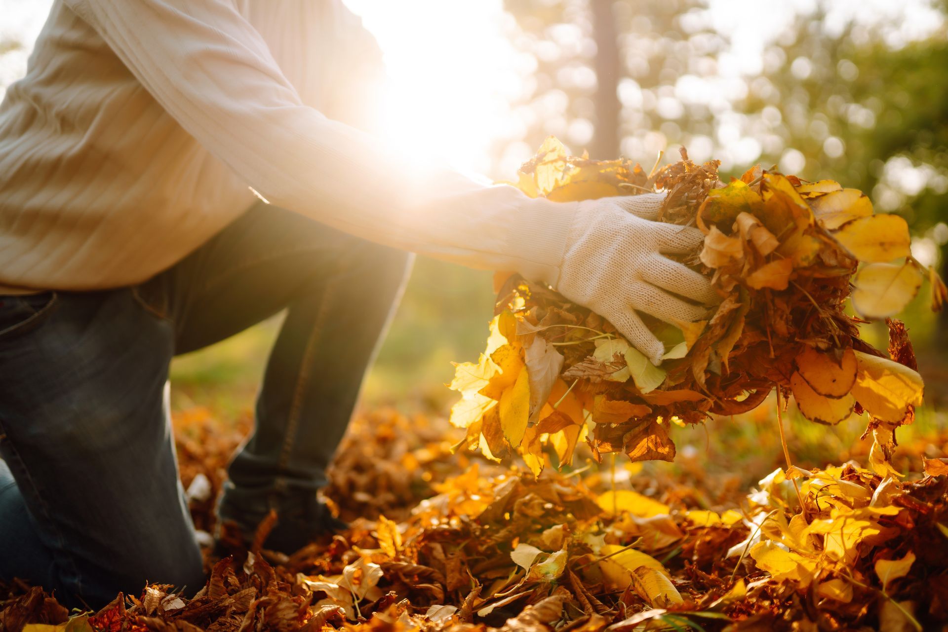 Person in gloves raking golden autumn leaves in warm sunlight