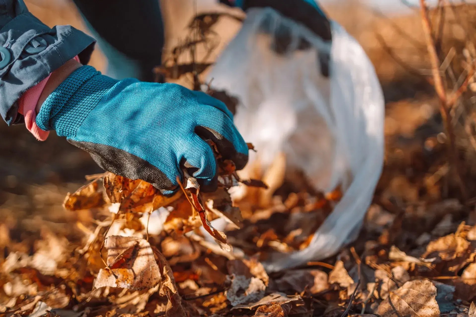 Overhead view of a person mowing green lawn with a winding stone path, bordered by shrubs and bushes.
