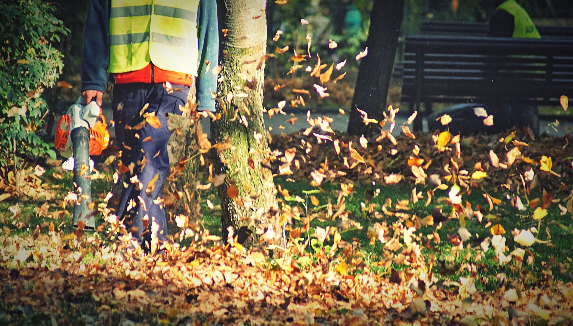 Worker in high-visibility vest using a leaf blower to clear autumn leaves in a wooded area