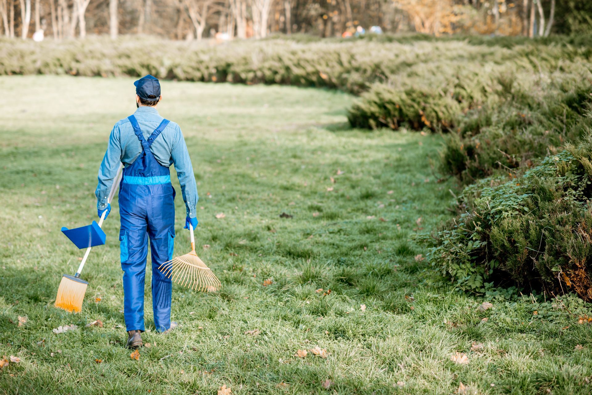 Person in blue overalls raking leaves and sweeping a grassy area in a park.
