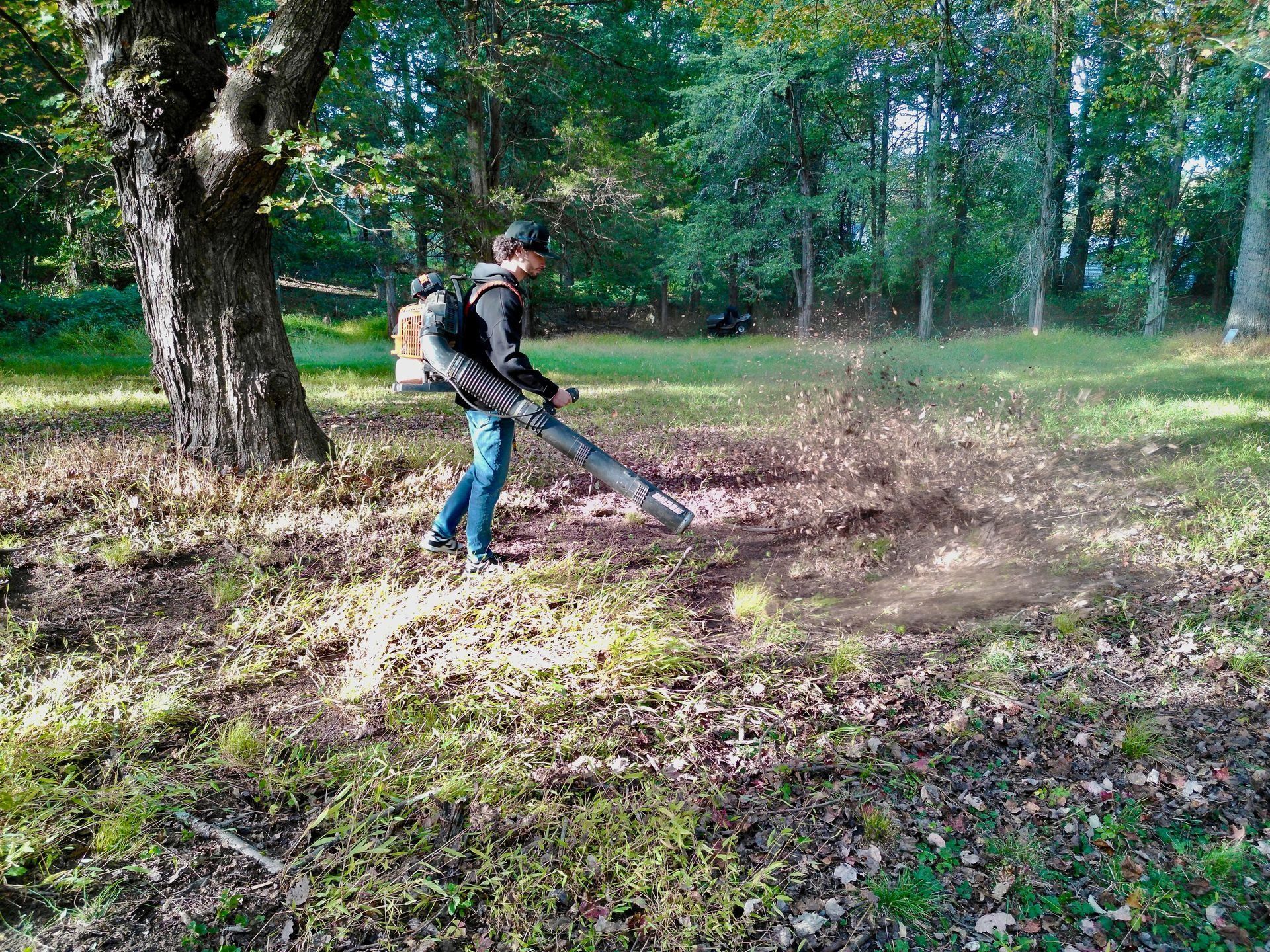 Person uses a backpack leaf blower to clear leaves in a grassy area with trees.