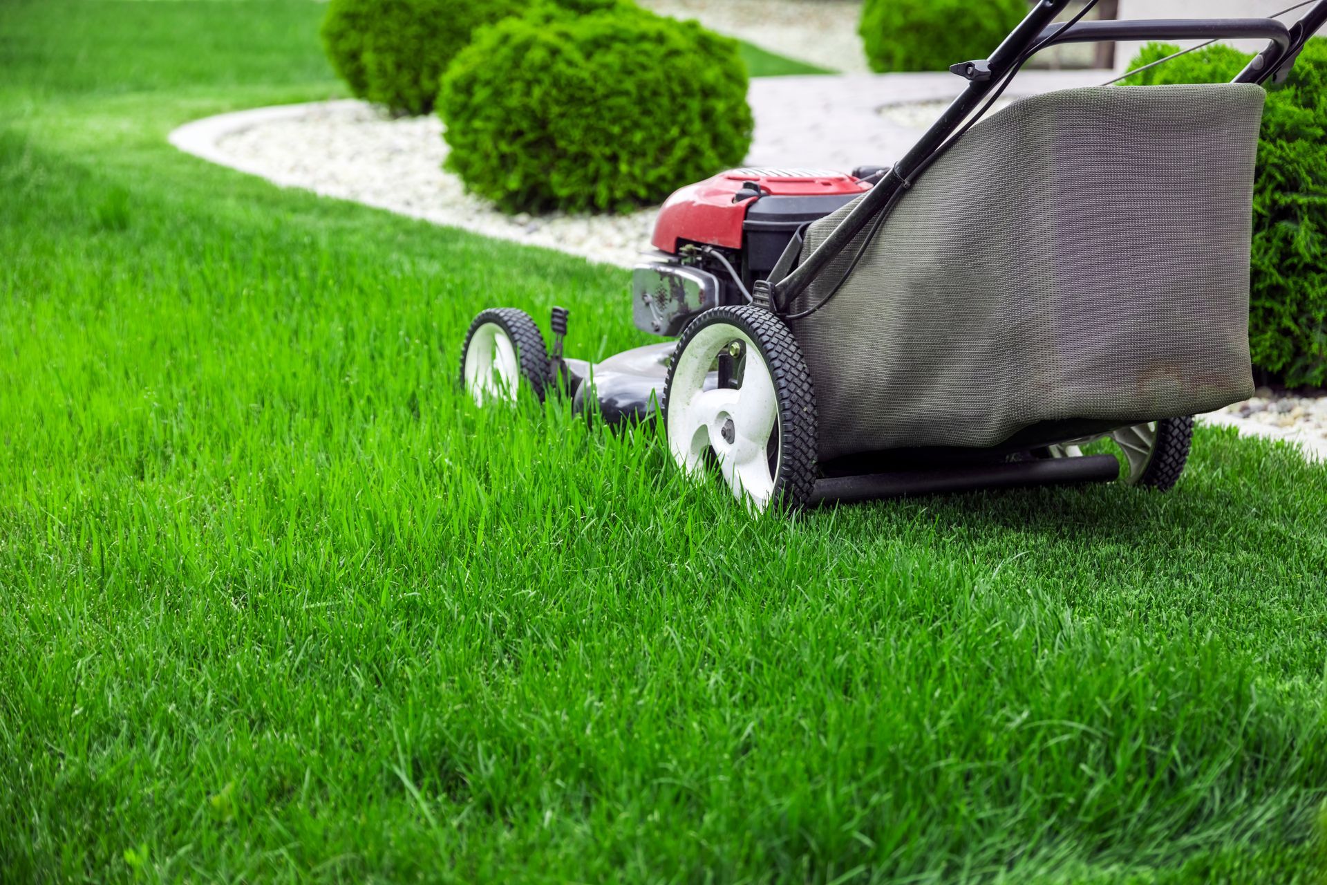 Lawnmower on a green lawn, near bushes and a white rock border.