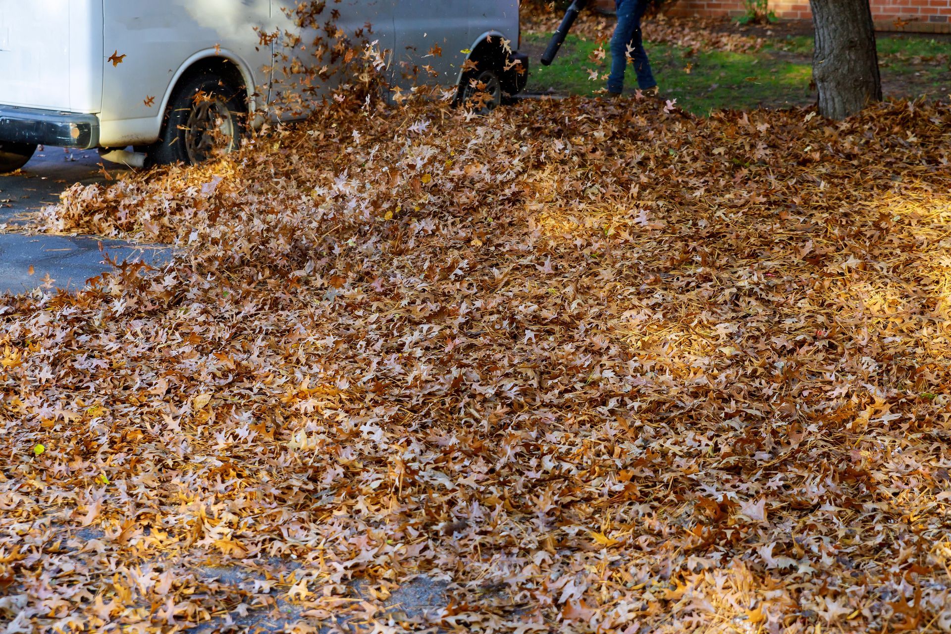 Person using a leaf blower to clear a large pile of wet autumn leaves on a driveway