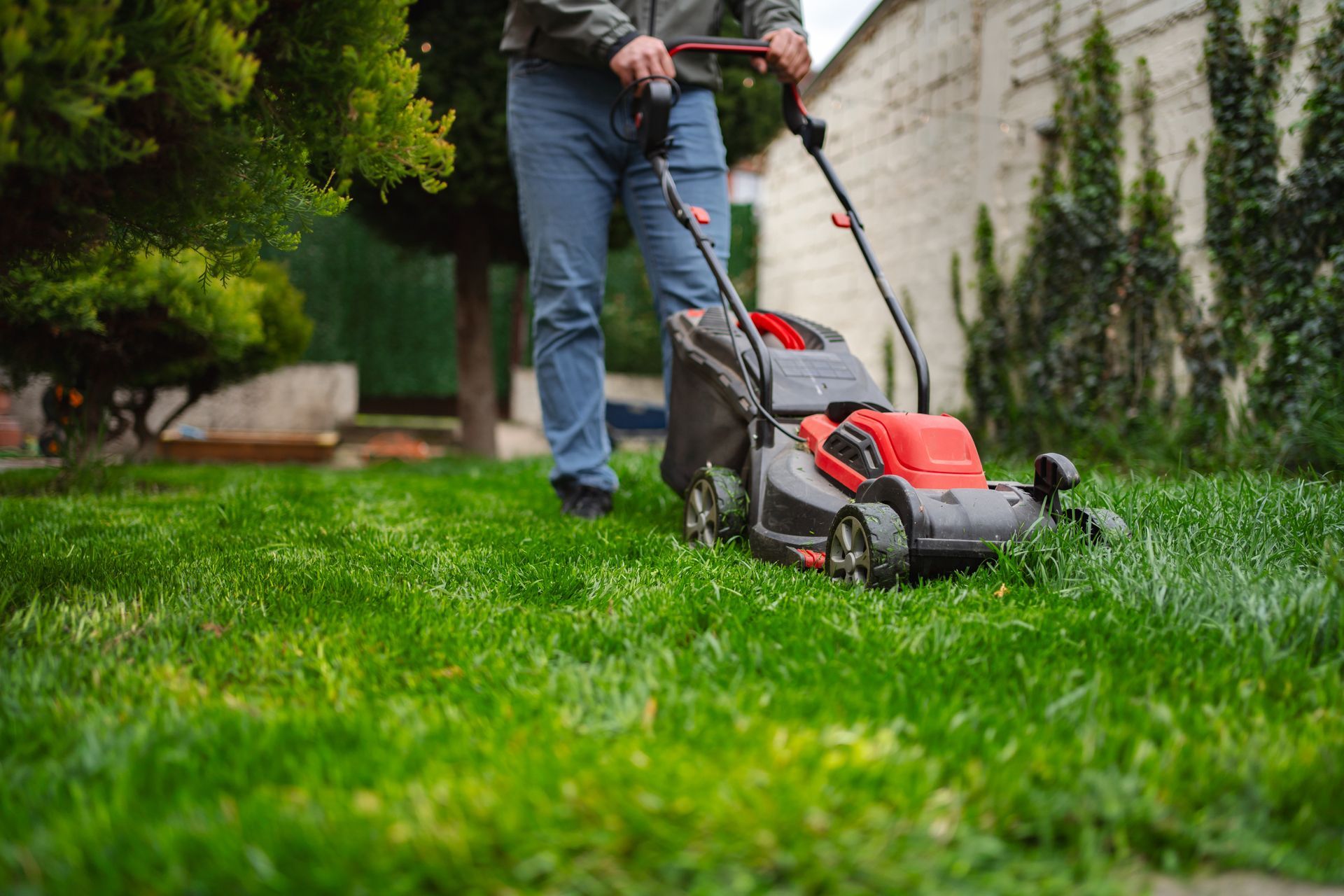 Person mowing a lush green lawn with a red-and-gray push lawn mower