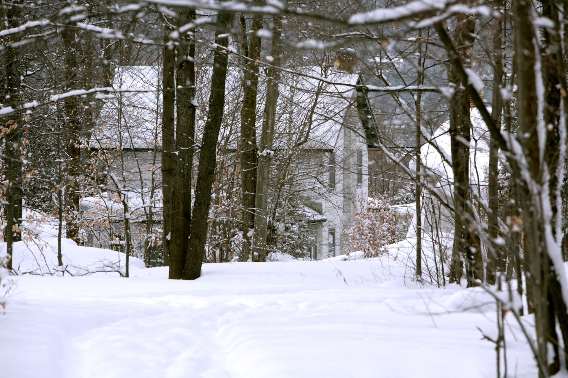 Snowy path through trees leads to a white building. Winter scene.