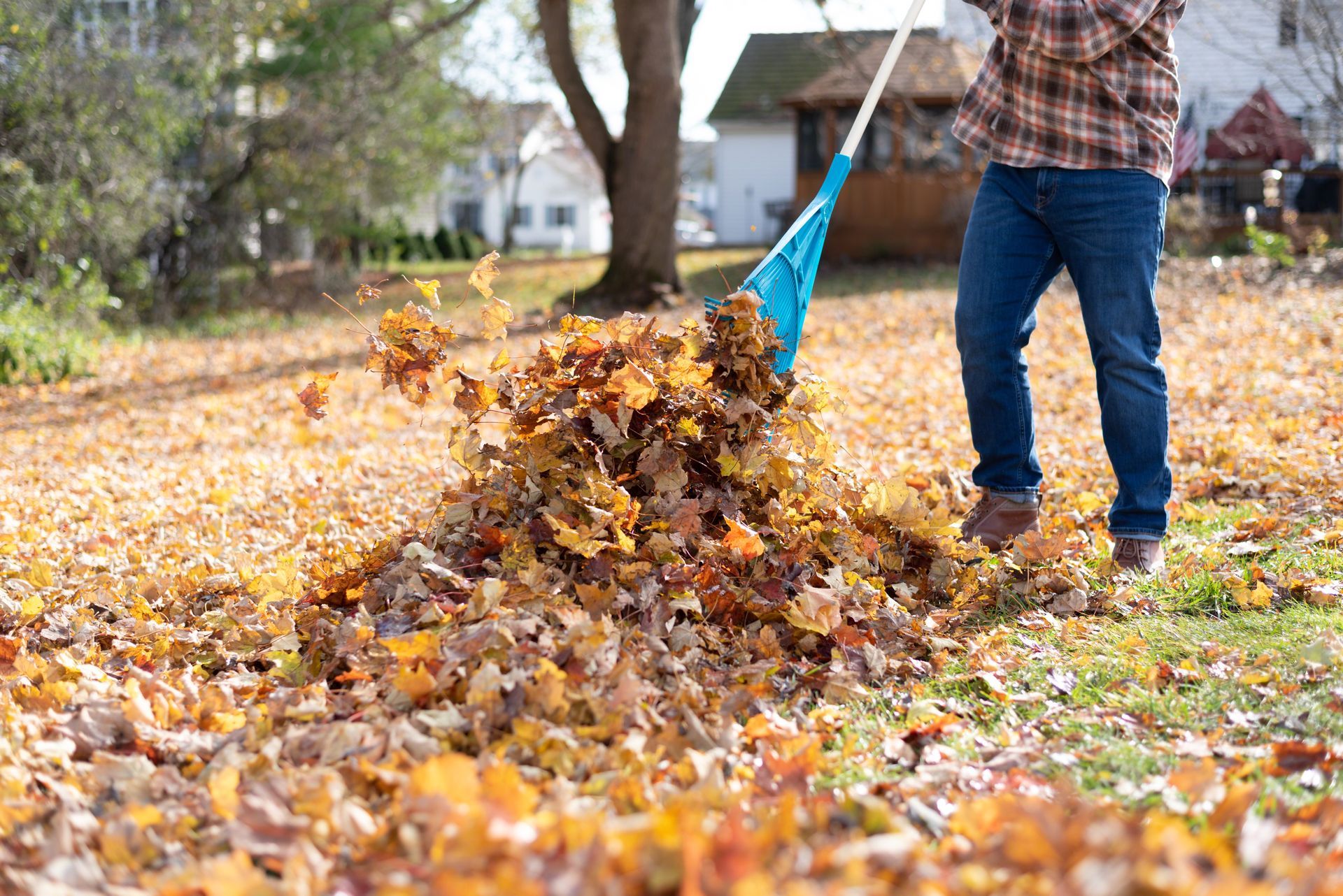 Person rakes a pile of fallen autumn leaves in a yard.