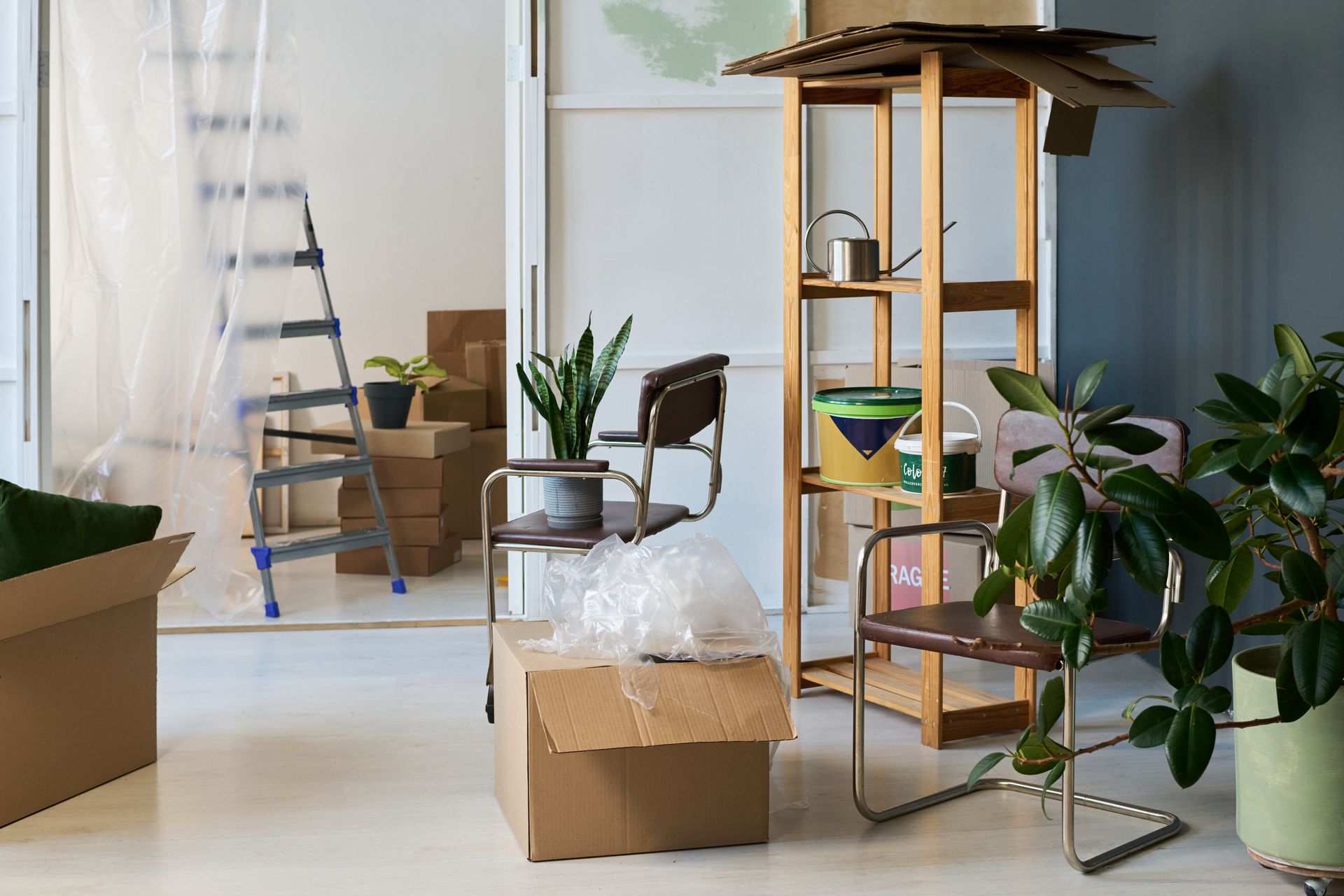 Boxes, plants, and chairs in a room undergoing a move or renovation, featuring a ladder and shelving unit.