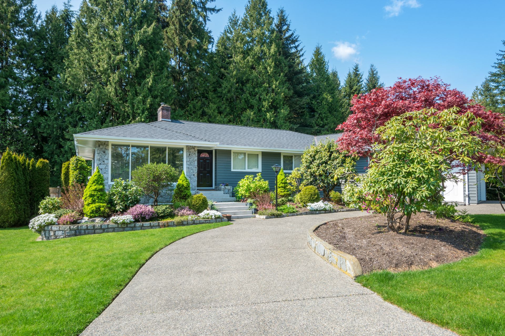 Single-story house with a curved driveway, green lawn, and flowering shrubs under clear blue sky