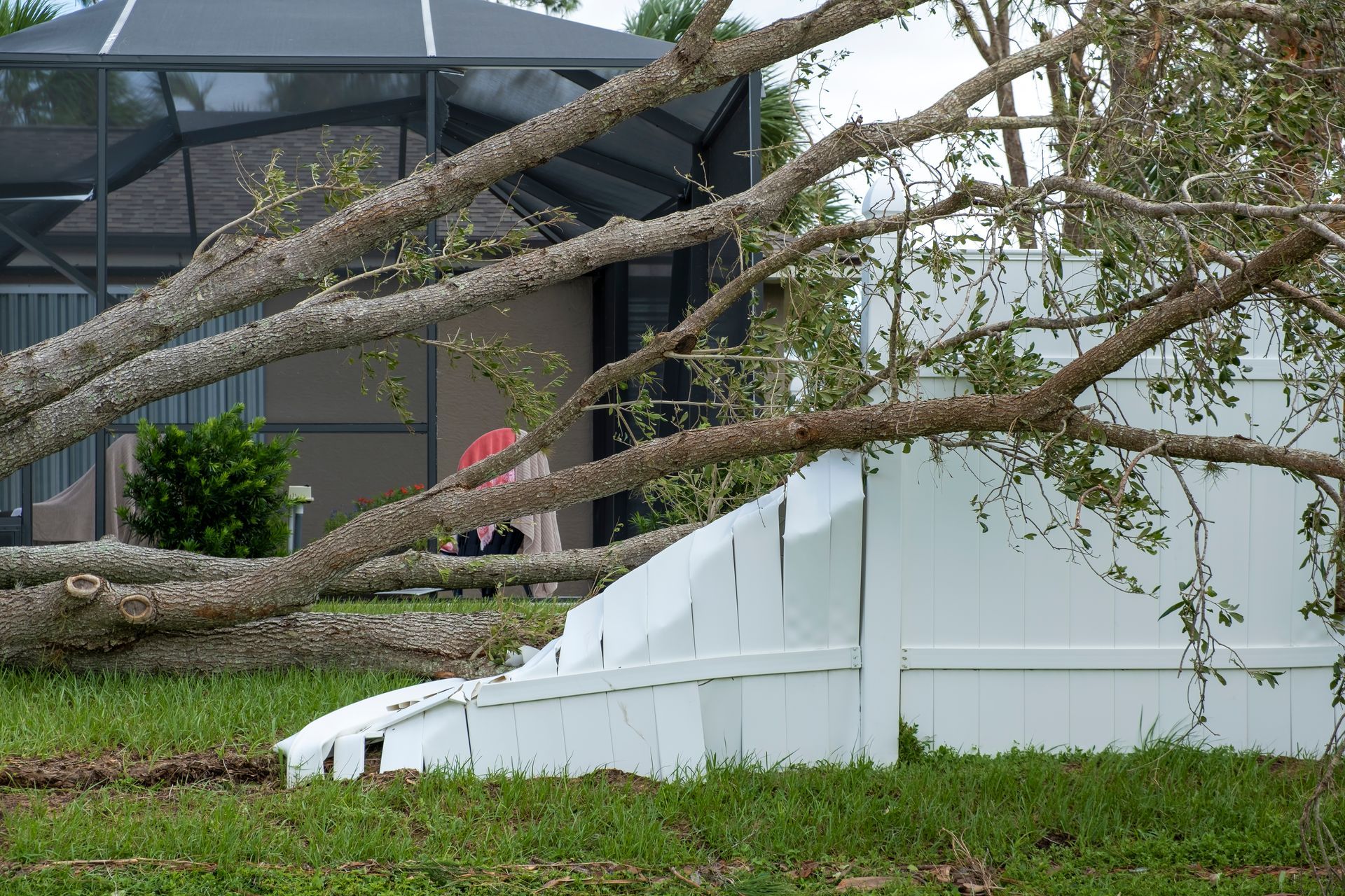 Fallen tree branches over a damaged white fence in a yard with a house in the background.