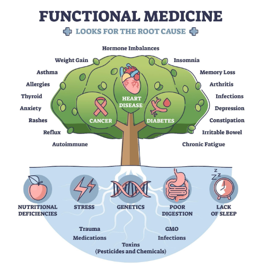 Functional Medicine | Sycamore Chiropractic and Nutrition 