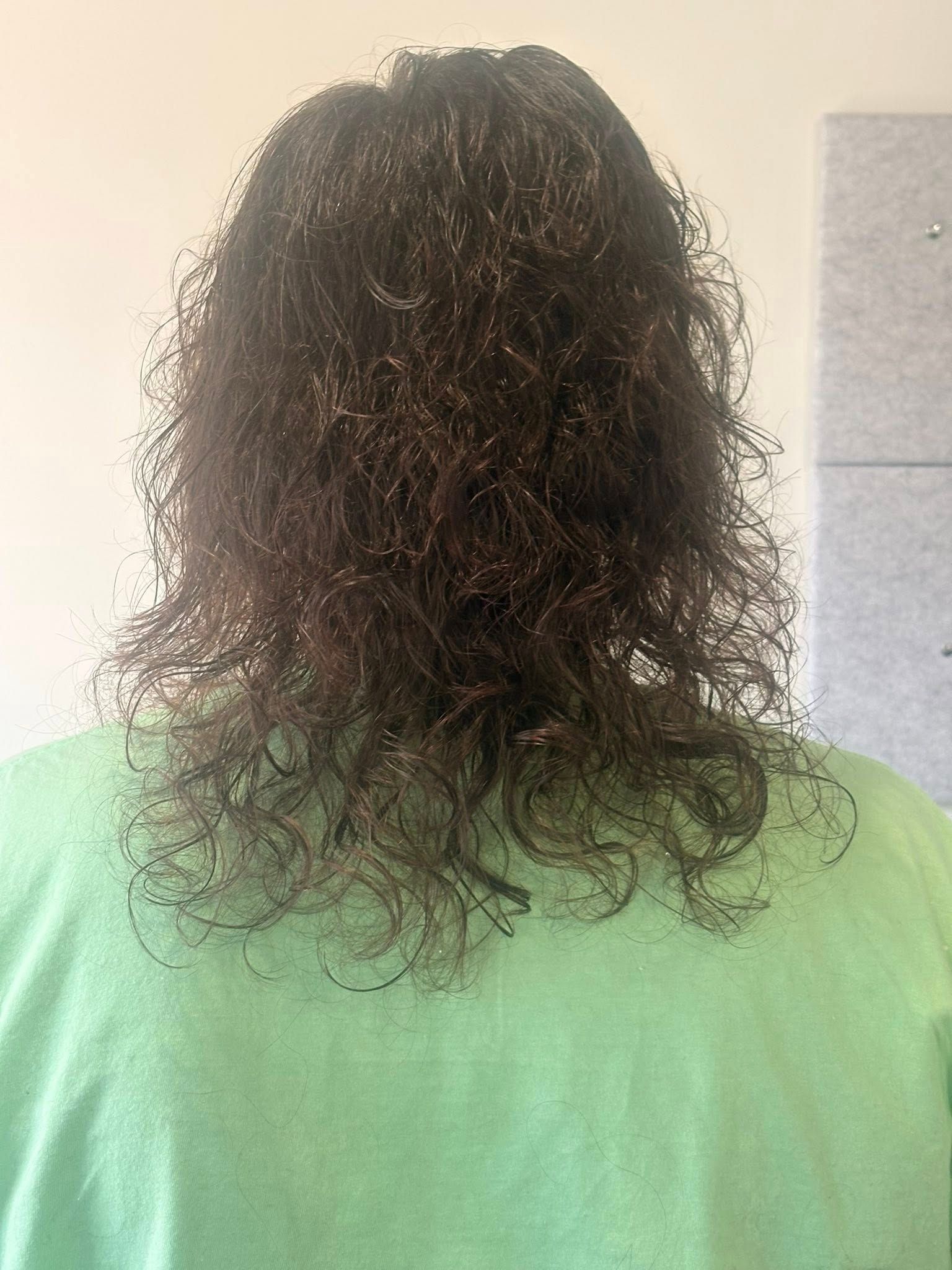 Person's back, wearing a green shirt, with dark, curly hair.
