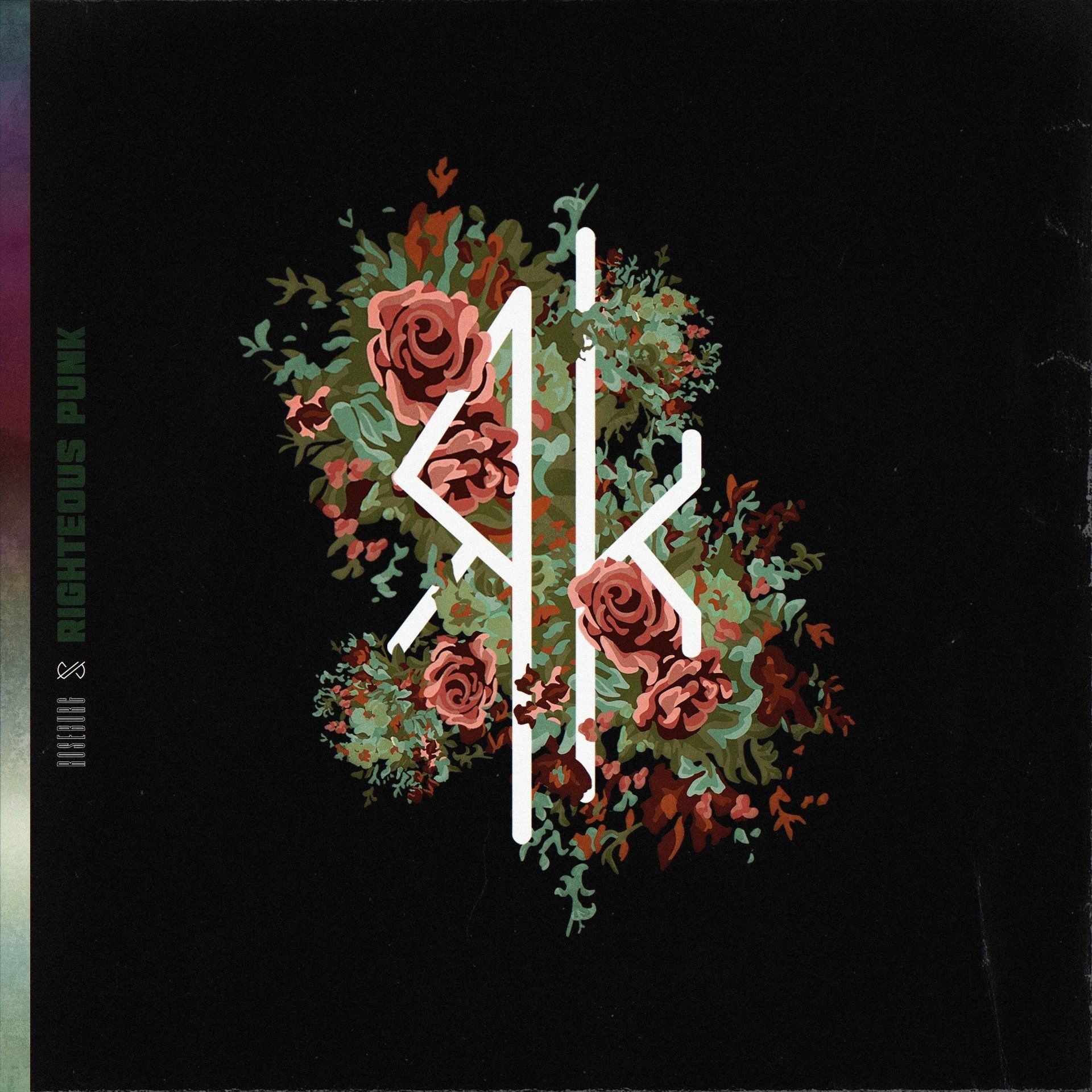 roseburg band, righteous punk album artwork