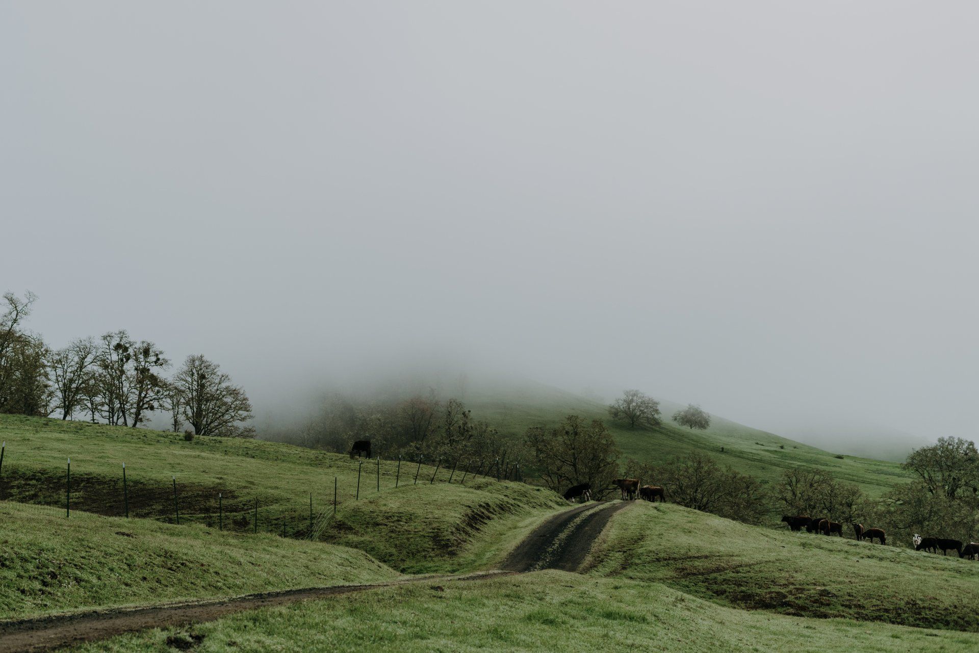 roseburg band official artwork for be good